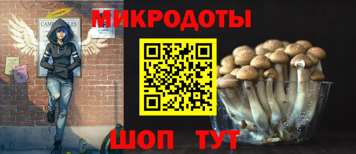Галлюциногенные грибы прущие грибы Всеволожск