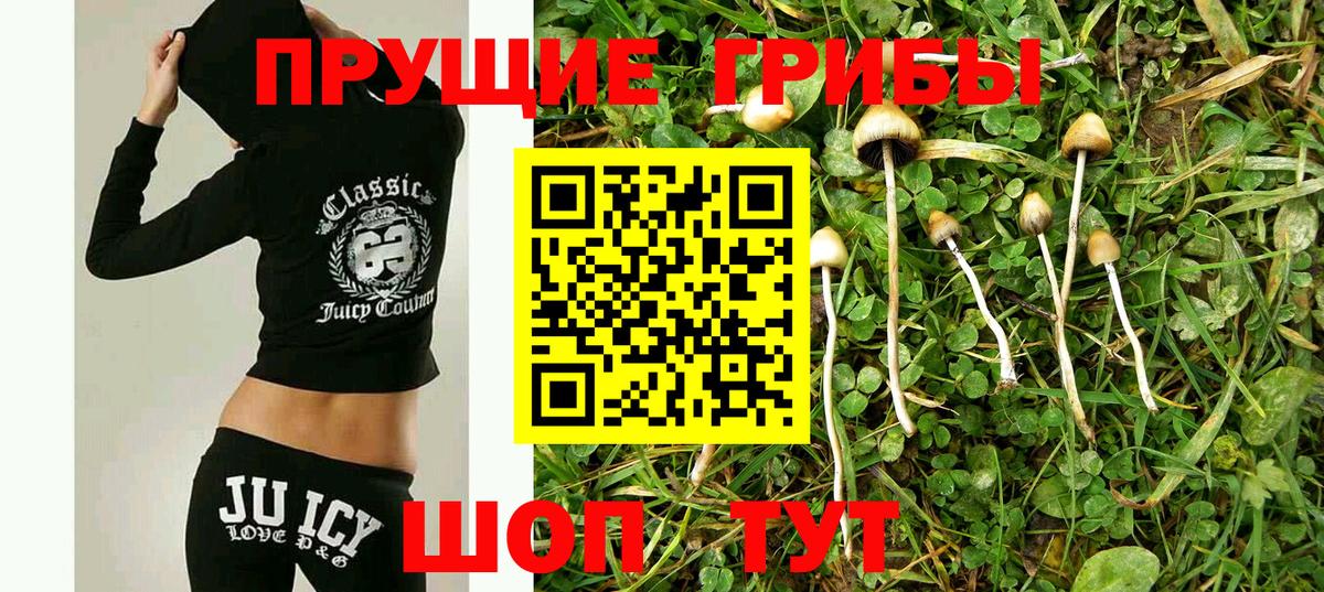 сколько стоит  Вход с VPN  Псилоцибиновые грибы Psilocybine cubensis  Всеволожск  Псилоцибиновые грибы прущие грибы 